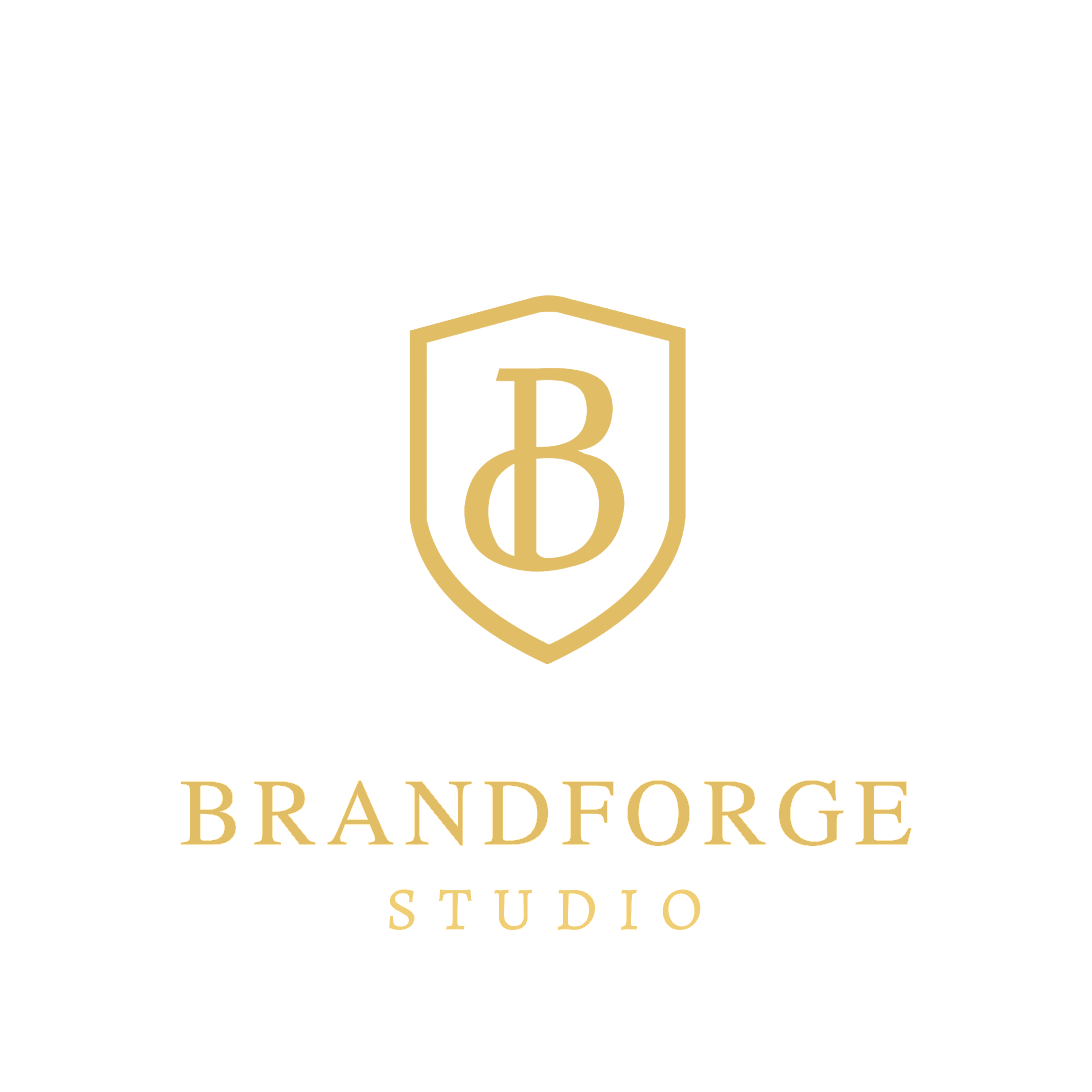 BrandForge Studio